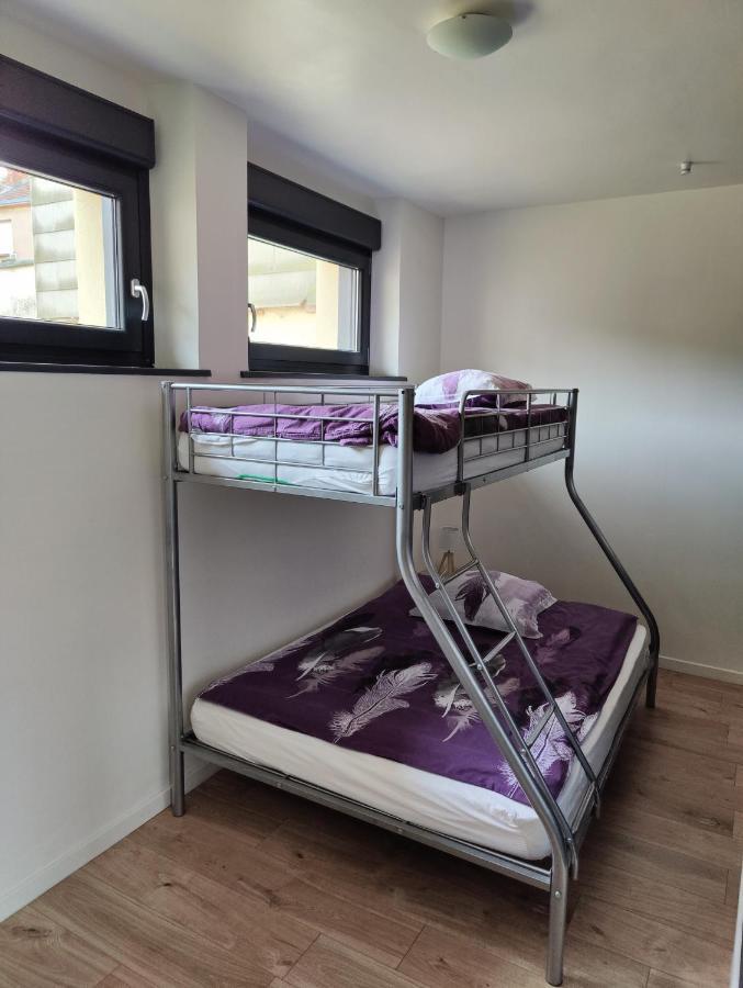 Le Purple, Appartement De Standing En Hypercentre Sarreguemines Eksteriør bilde