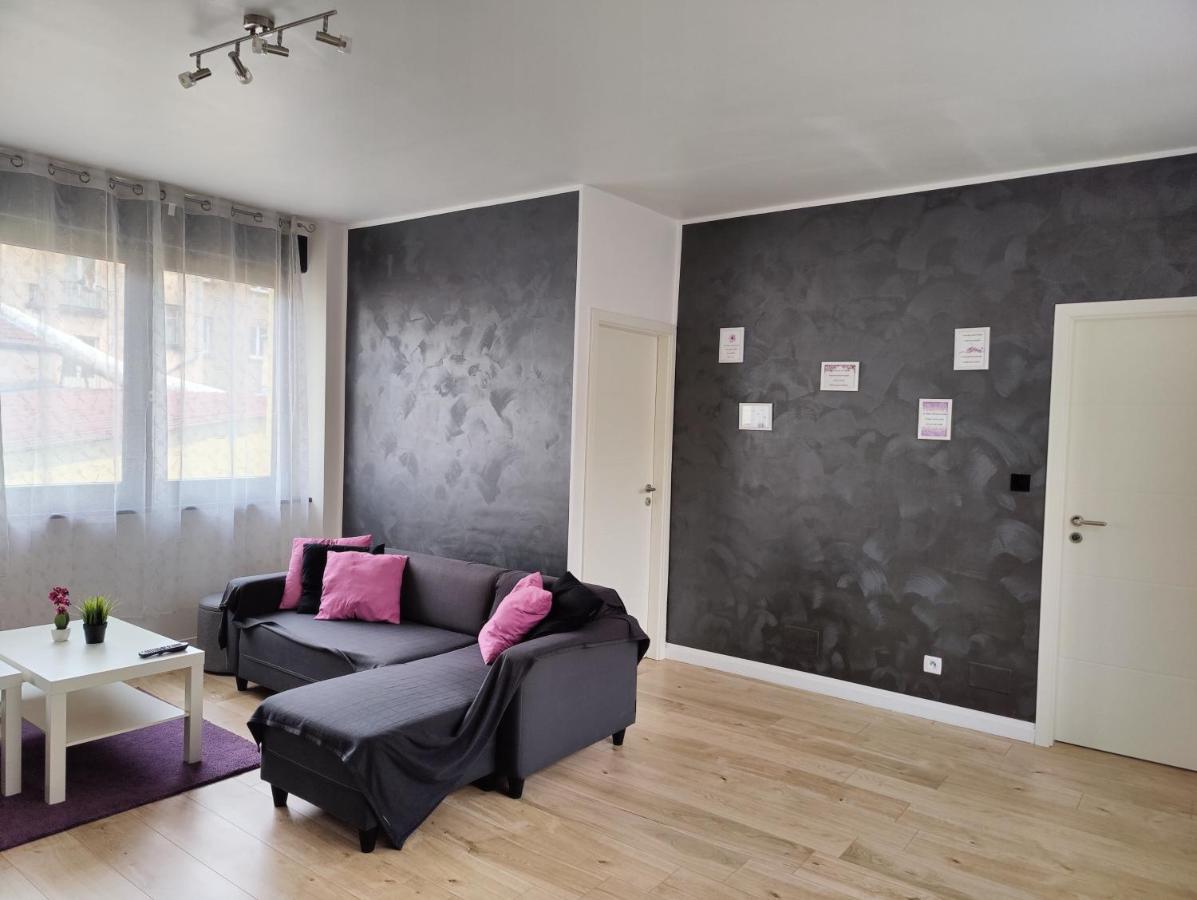 Le Purple, Appartement De Standing En Hypercentre Sarreguemines Eksteriør bilde