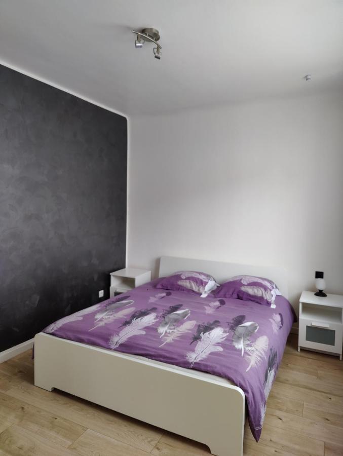 Le Purple, Appartement De Standing En Hypercentre Sarreguemines Eksteriør bilde
